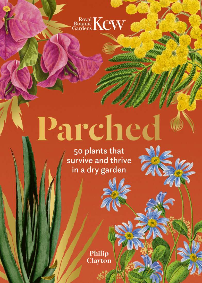 Kew - Parched