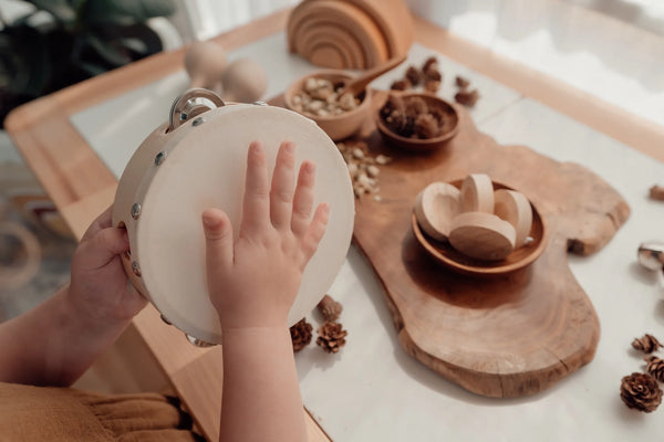 Tamborine Drum