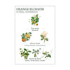 Panier Des Sans Orange Blossom Roll On EDT