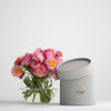 Salus Soy Procelain Candle Rose Geranium 60hr