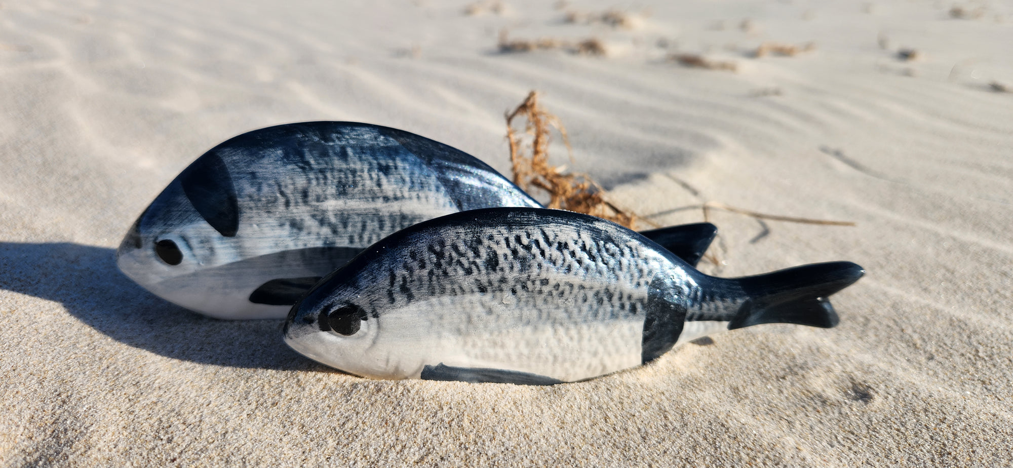 NK Small Striped Bream