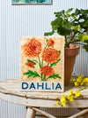 Dahlia Wall Art