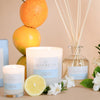 Palm Beach Standard Candle Yuzu & Sea Moss