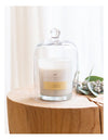 Palm Beach Standard Candle Coconut and Lime