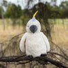 Furfolk Cockatoo
