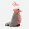 Furfolk Galah