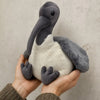 Furfolk Ibis