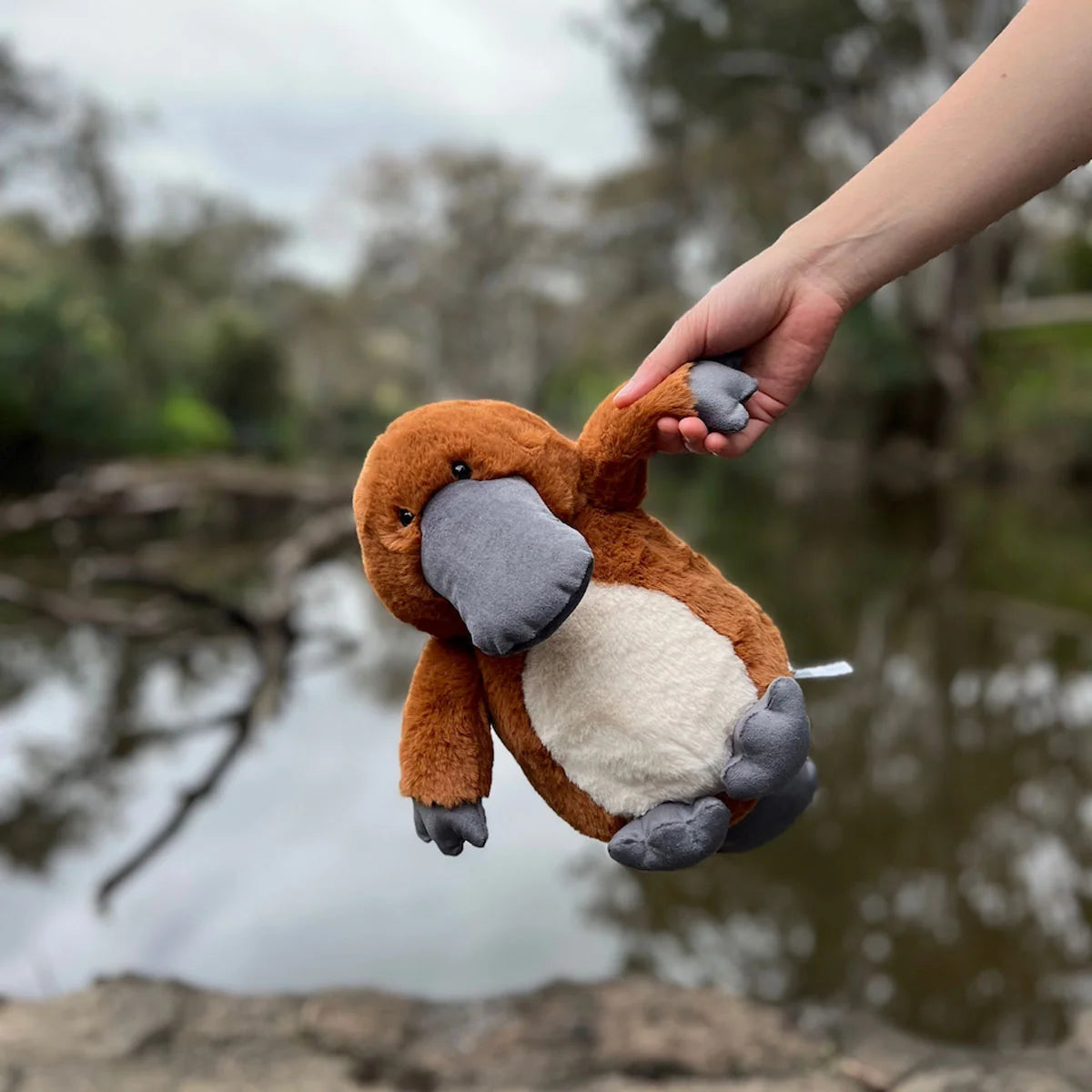 Furfolk Platypus