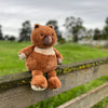 Furfolk Wombat
