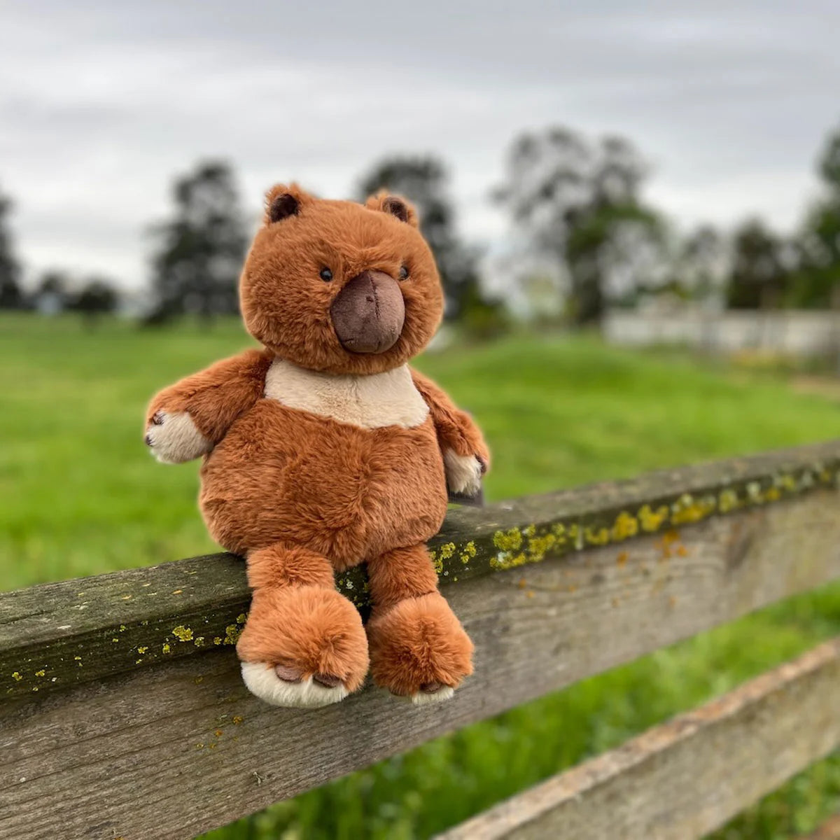 Furfolk Wombat