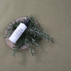 Salus Rosemary & Eucalyptus Botanical Room Spray