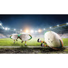 Amuseables Sports Australian Rugby Ball