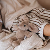 Hugh Rabbit