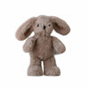 Hugh Rabbit