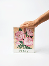 Peony Wall Art