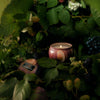 Foraged Berries Decorative Tin